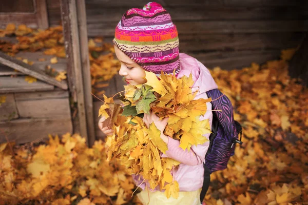 Escolar Lleva Brazo Lleno Hojas Arce Vacaciones Escolares Otoño Juego — Foto de Stock