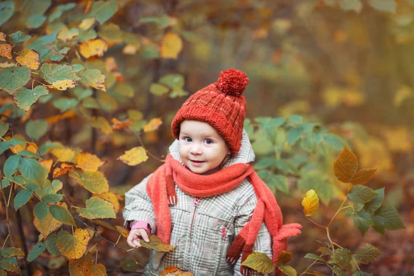 Niedliches Baby Herbstkleidung Kind Strickmütze Und Schal Orange Tier Ist — Stockfoto