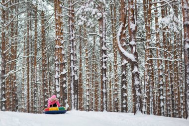 güzel kış çam ormanı. kar ağaçlarda. Çocuk dağdan bir kızağa gidiyor..