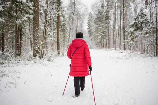Mulher Realizando Caminhada Nórdica Uma Floresta Inverno Nevado — Fotografia de Stock