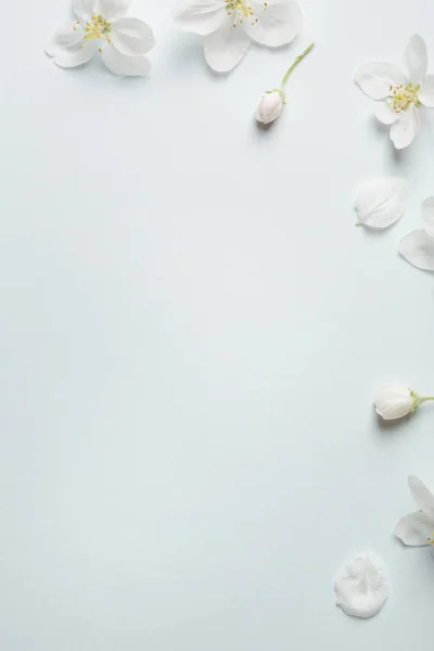 Flores Maçã Fundo Bonito Para Mensagem Amor Parabéns Dia Mãe — Fotografia de Stock