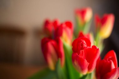 lale mutfak masasının üzerinde. sabah bahar çiçekleri. Dünya Kadınlar günü ya da anneler günü.