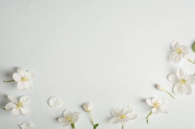 Apple çiçekler. arka plan için aşk mesajı, tebrikler güzel anneler günü, bahar, Valentine's day, kadınlar günü, düğün davetiyesi, reklamlar için cilt bakımı ve Kozmetik Tarih