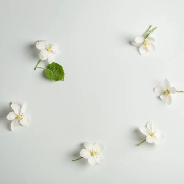 Flores Maçã Fundo Bonito Para Mensagem Amor Parabéns Dia Mãe — Fotografia de Stock