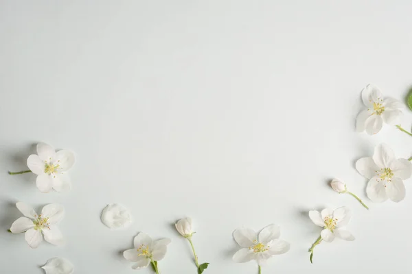 Flores Maçã Fundo Bonito Para Mensagem Amor Parabéns Dia Mãe — Fotografia de Stock