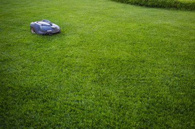 otomatik çim biçme robot çim, çim üzerinde taşır. Yukarıdan, kopya alanı yan görünüm