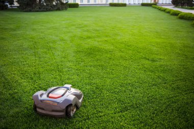 otomatik çim biçme robot üzerinde çim, çim biçme. büyük görünümünü Çim mowed. kopya alanı.