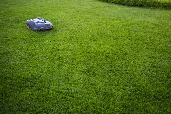 Automatic Lawn Mower Robot Moves Grass Lawn Side View Copy — Stock Photo, Image