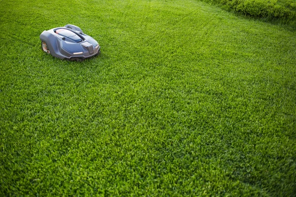 自動芝刈りロボットは 芝生の上に移動します コピー領域からの側面図 — ストック写真