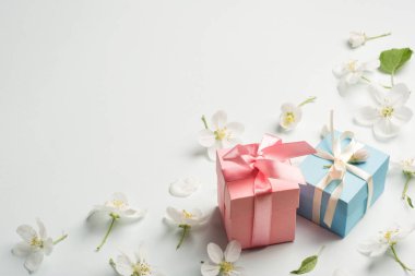 iki hediye elma beyaz çiçeklerle çevrili. mavi ve pembe sunar. güzel arka plan.