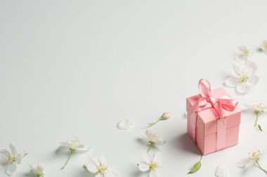 pembe hediye elma çiçek tarafından çevrili. arka plan nazik, uzay kopyalayın. Anneler günü, Bahar, Valentine's day, kadınlar günü için mevcut.