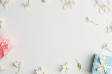 iki hediye elma beyaz çiçeklerle çevrili. mavi ve pembe sunar. güzel arka plan, kopya alanı.