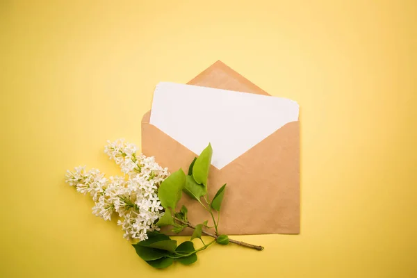 branch of white lilac and the envelope with the letter on a yellow background. minimalism.