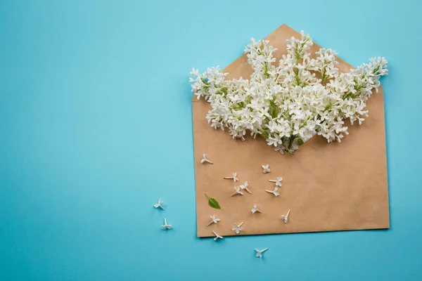 branch of white lilac the envelope with the letter on a yellow background. minimalism.