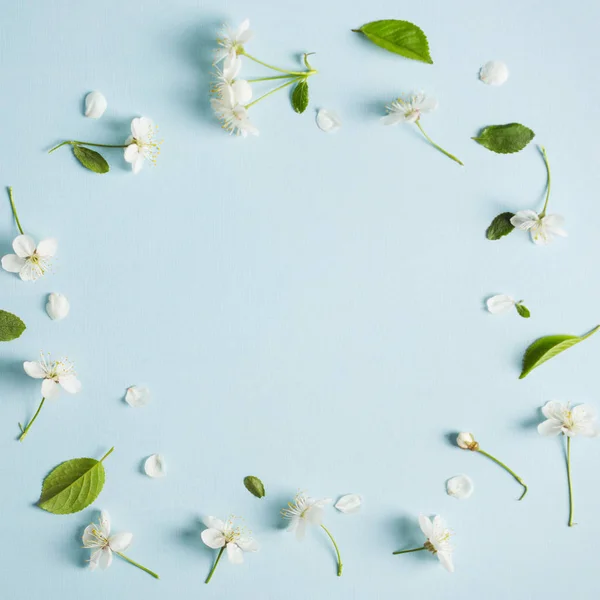 Fundo azul. quadro de flores de cereja. espaço de cópia — Fotografia de Stock