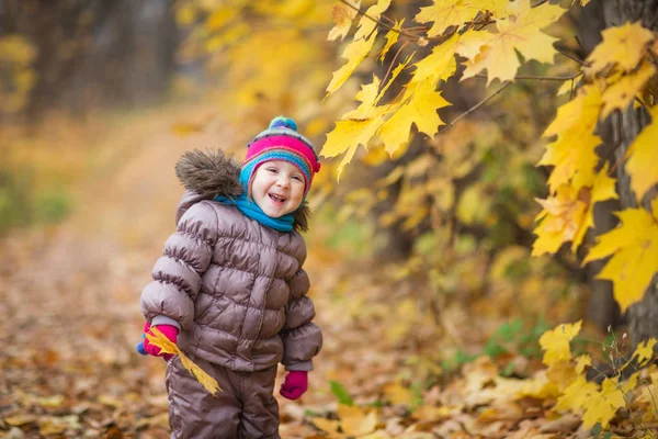 Criança pequena feliz, bebê menina rindo e brincando folhas no outono na natureza andar ao ar livre — Fotografia de Stock