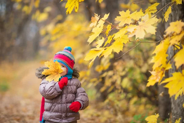 Fröhliches kleines Kind, kleines Mädchen lacht und spielt Blätter im Herbst auf dem Naturspaziergang im Freien — Stockfoto