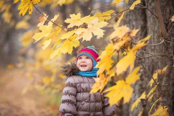 Criança pequena feliz, bebê menina rindo e brincando folhas no outono na natureza andar ao ar livre — Fotografia de Stock