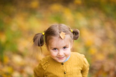 Sonbahar kıyafetleri içinde tatlı bir kız. Örgü ceketli çocuk. Dışarı çık. Yaprak dökülen çocuk portresi. Dışarı çık.