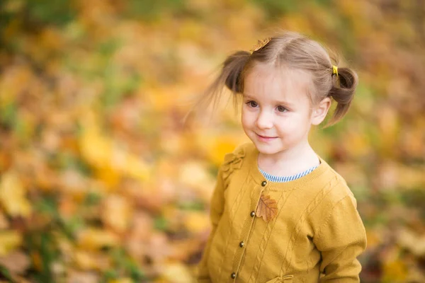 Nettes Mädchen Herbstkleidung Kind Strickjacke Spaziergang Freien Porträt Eines Kindes — Stockfoto