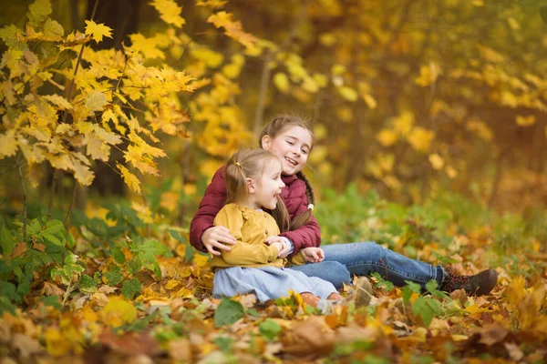 Irmãs Sentar Grama Parque Contra Fundo Das Árvores Outono Crianças — Fotografia de Stock