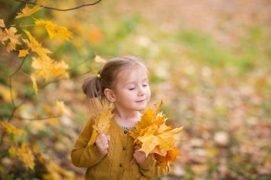 Sonbahar kıyafetleri içinde şirin bir bebek yukarı bakıyor. Örgü ceketli çocuk. Kız sonbahara bakıyor. Dışarı çık..