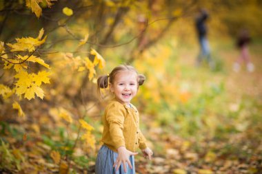 Sonbahar kıyafetleri içinde şirin bir bebek yukarı bakıyor. Örgü ceketli çocuk. Kız sonbahara bakıyor. Dışarı çık..