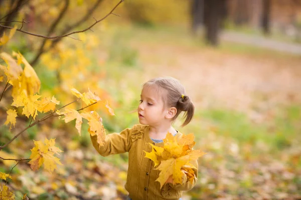 Niedliche Babys Herbstkleidung Schauen Nach Oben Kind Strickjacke Mädchen Blickt — Stockfoto