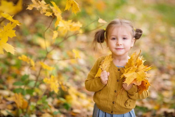 Niedliche Babys Herbstkleidung Schauen Nach Oben Kind Strickjacke Mädchen Blickt — Stockfoto