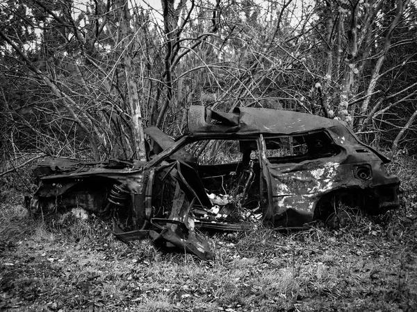 Black White Wrecked Car Forest — Stock Photo, Image