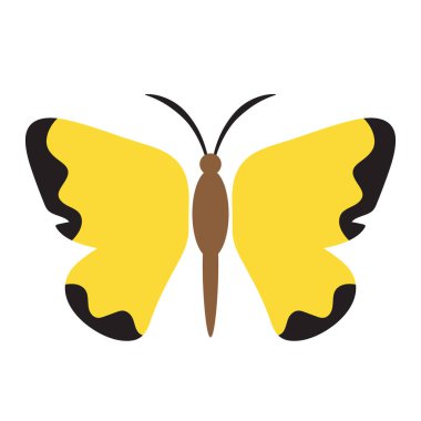 Kelebek Icon - izole renkli kelebek vektör logosu.