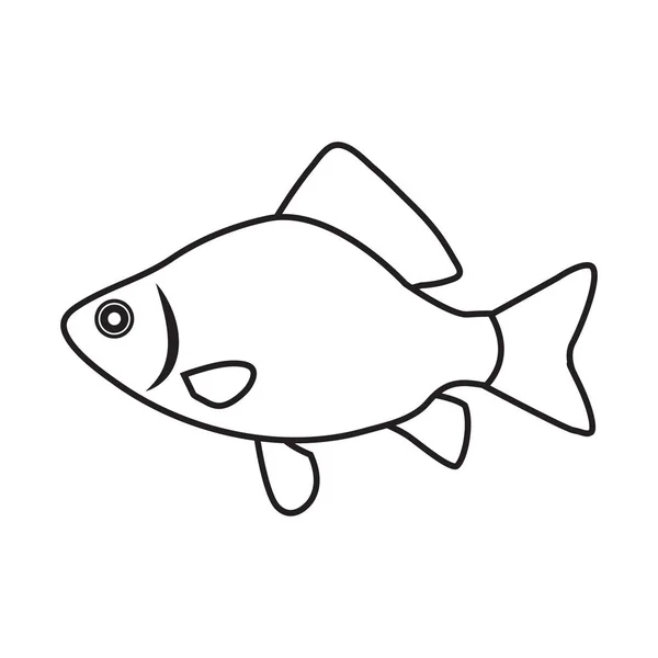 Fish Icon Crucian Carp Icon — Stock Vector