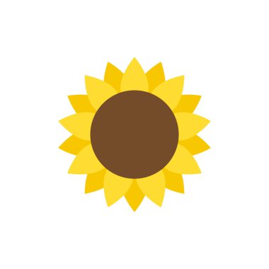 Düz biçim vektöründe ayçiçeği izole edildi