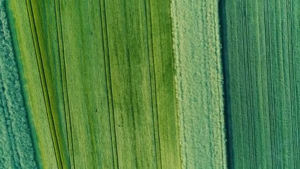 Abstraktes Landwirtschaftliches Gebiet Frühling Luftaufnahme Kamerafahrt — Stockvideo