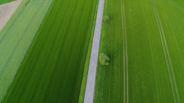 Vista Aérea Una Pequeña Carretera Rural Coches Irreconocibles — Vídeos de Stock