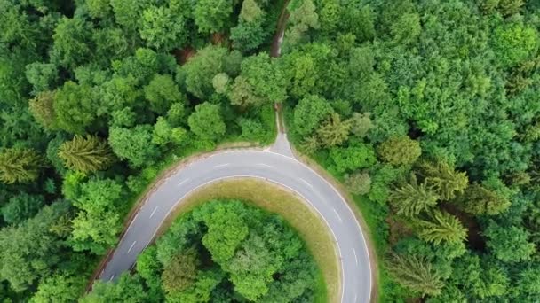 Ormana Çekim Havadan Görünümü Izleme Yol — Stok video