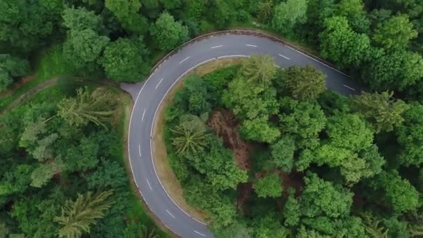 道路通过森林跟踪射击 鸟瞰图 — 图库视频影像