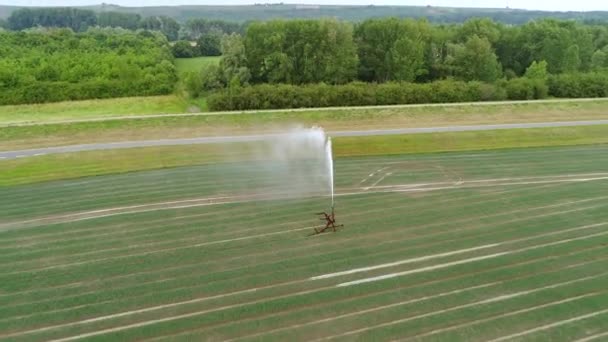 Beregnungsanlage Für Die Landwirtschaft Bewässerungsgebiet Luftaufnahme — Stockvideo