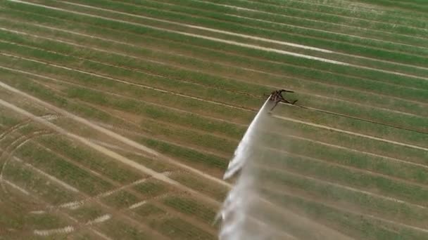 Irrigatore Agricolo Superficie Irrigazione Vista Aerea — Video Stock