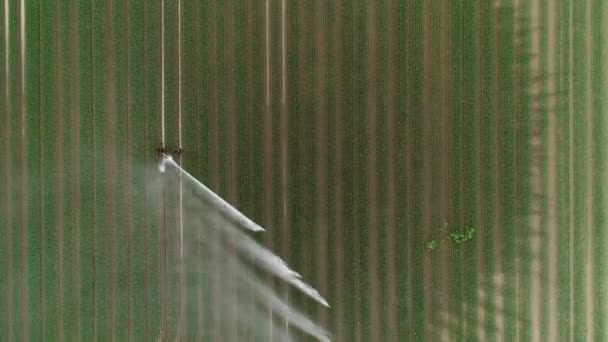 Aspersor Agrícola Área Irrigação Vista Aérea — Vídeo de Stock