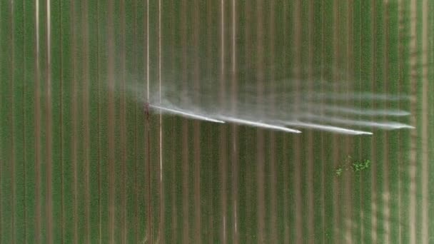 Irrigatore Agricolo Superficie Irrigazione Vista Aerea — Video Stock