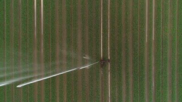 Irrigatore Agricolo Superficie Irrigazione Vista Aerea — Video Stock