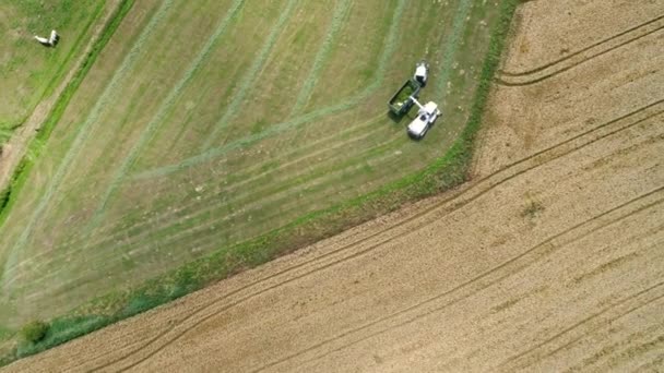 Oogsten Agrarische Gebied Machines Luchtfoto Tracking Shot — Stockvideo