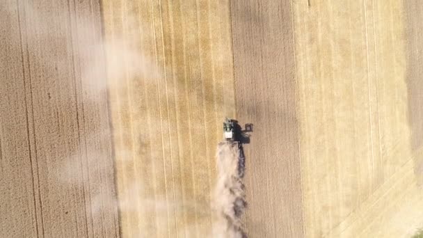 Combina Mietitrebbia Raccolta Campo Grano Durante Una Stagione Estiva Molto — Video Stock