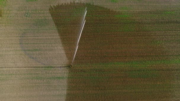 Agrarische Sprinkler Irrigatie Area Luchtfoto — Stockvideo