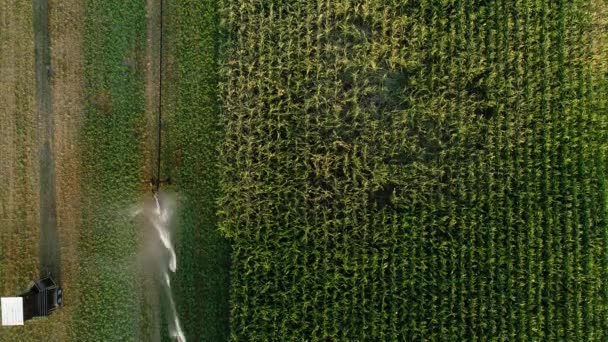 Arroseur Agricole Surface Irrigation Vue Aérienne — Video