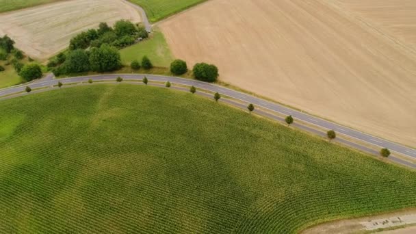 Carretera Través Superficie Agrícola Vista Aérea — Vídeo de stock