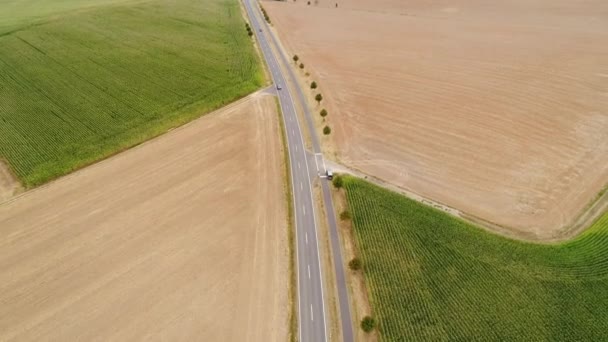 Дорога Через Сельскохозяйственную Зону Вид Воздуха — стоковое видео