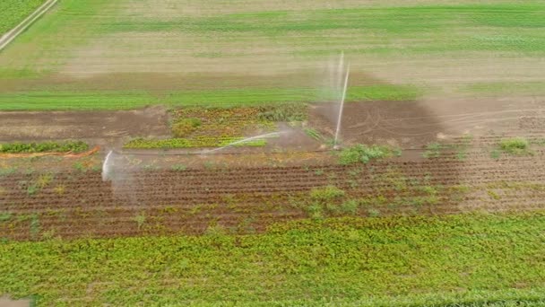 Zemědělské Postřikovací Zavlažovací Plocha Letecký Pohled — Stock video