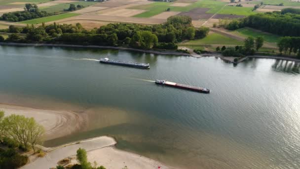 Navires Industriels Sur Rhin Niveau Eau Très Bas Pendant Sécheresse — Video